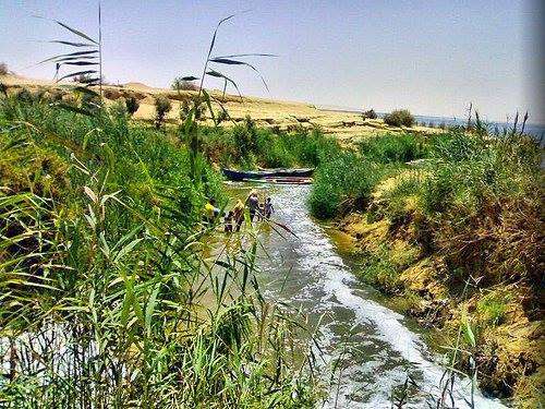 El-Oasis-de-El-Fayum-Egipto 1